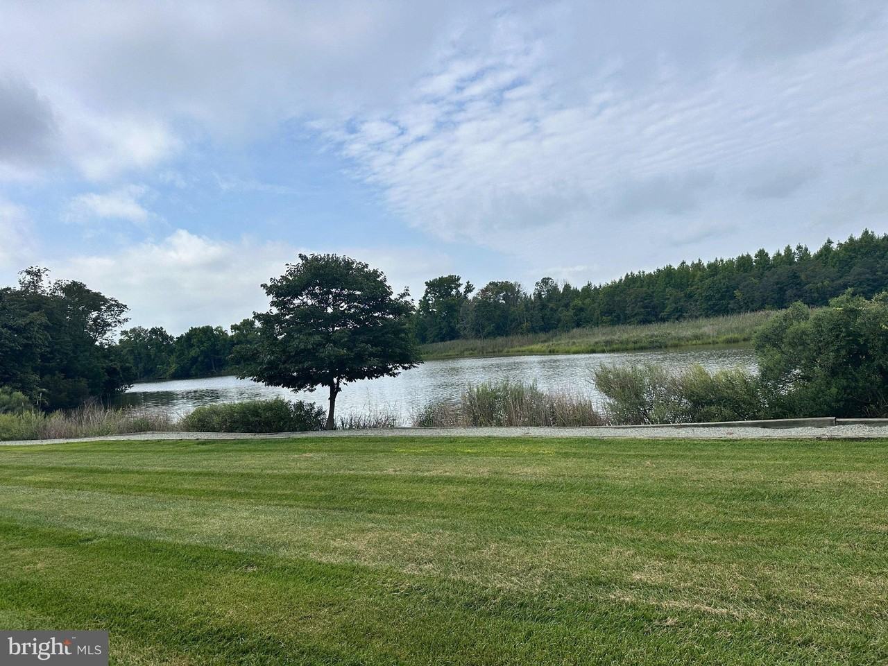 1206 Marion Quimby Dr - Photo 2 of 3