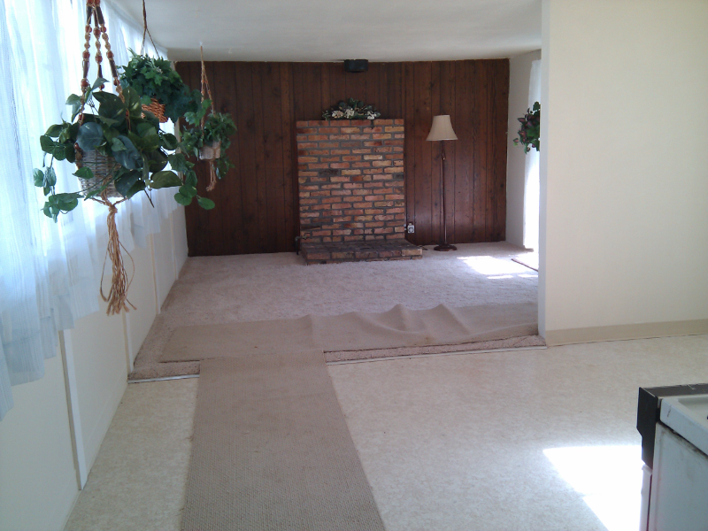 43347 Ellsworth St - Photo 5 of 8