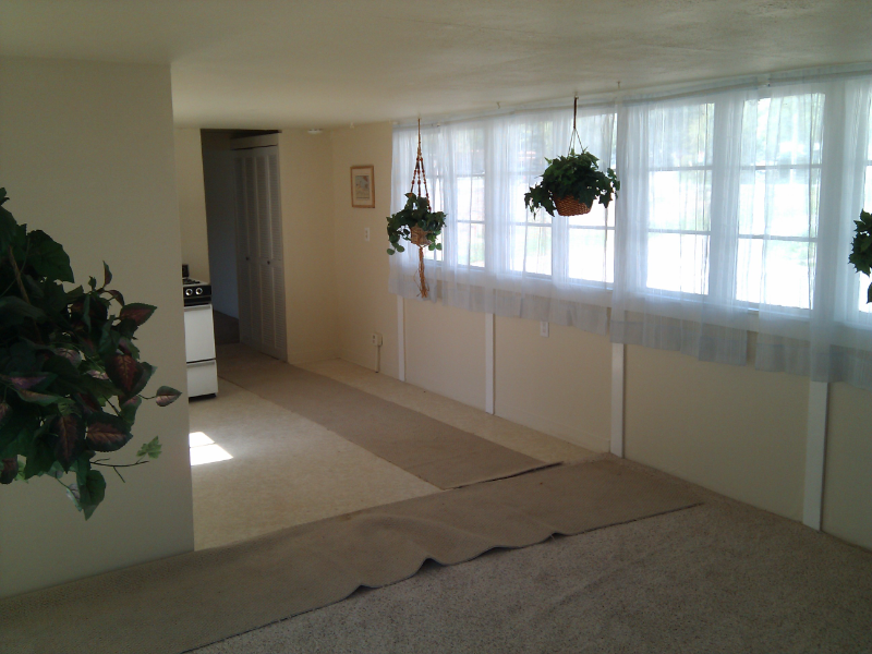 43347 Ellsworth St - Photo 7 of 8