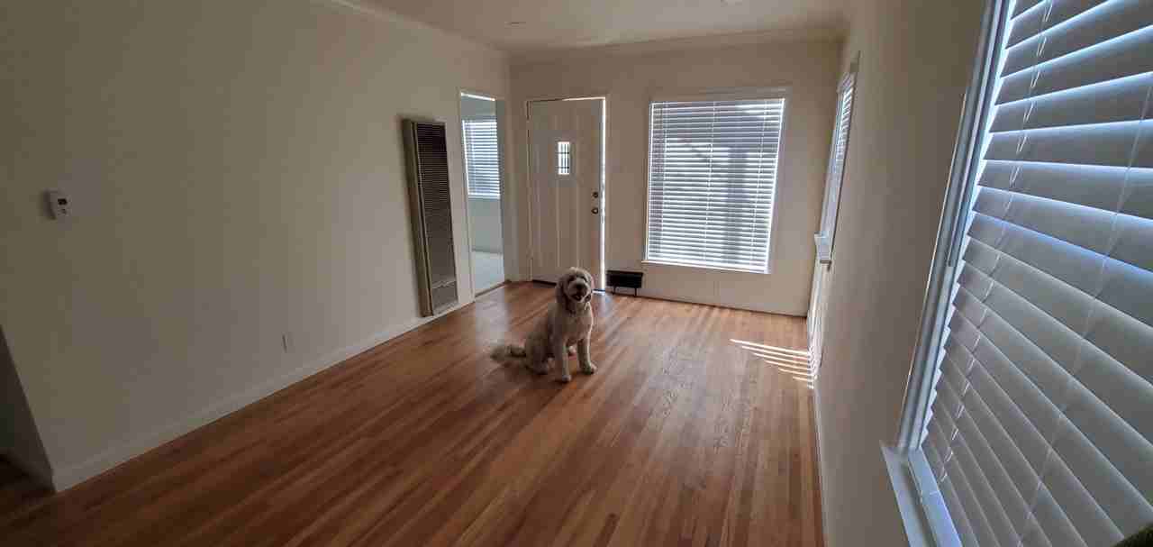 1305 W Chandler Blvd - Photo 5 of 18