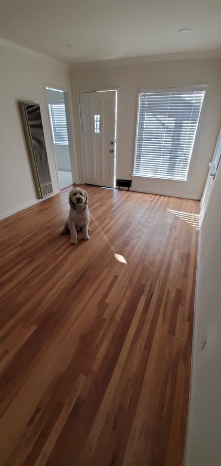 1305 W Chandler Blvd - Photo 6 of 18