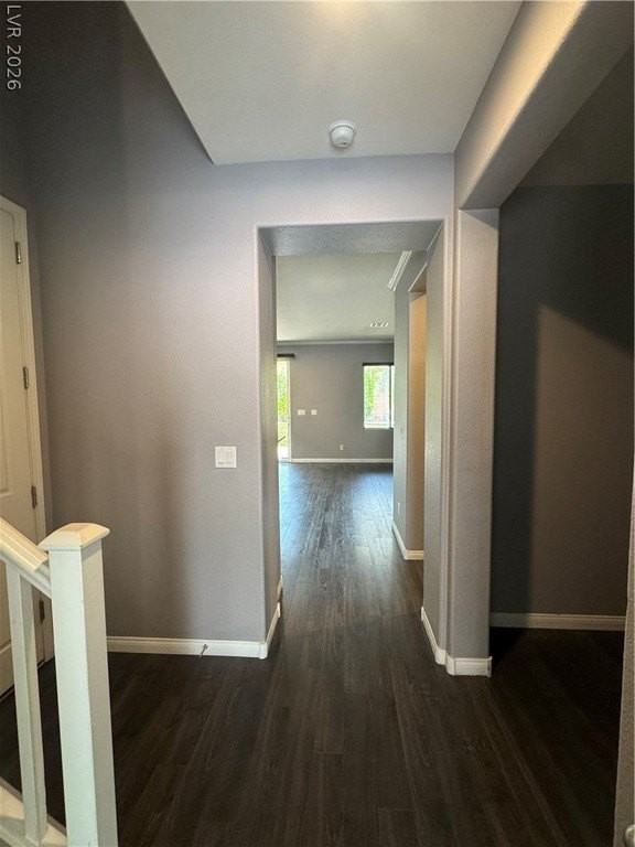 10293 Glimmering Star Dr - Photo 4 of 38