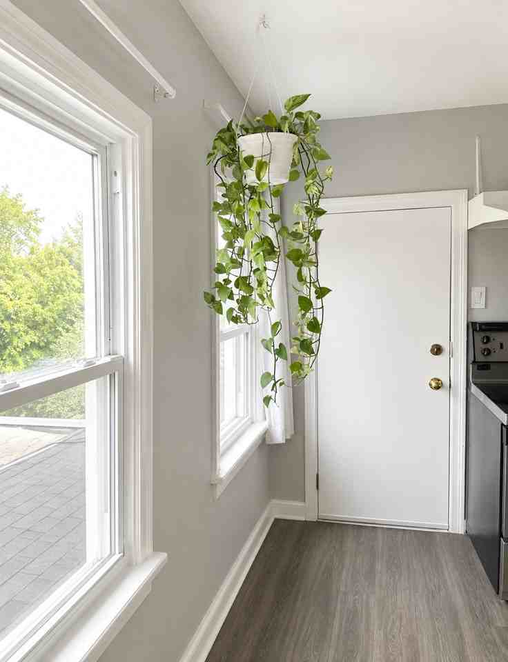 66 Wayne Ave - Photo 2 of 4