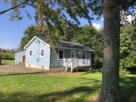 featured image of Carter Rd