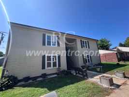 featured image of 123 W Attica St Apt 5 #W