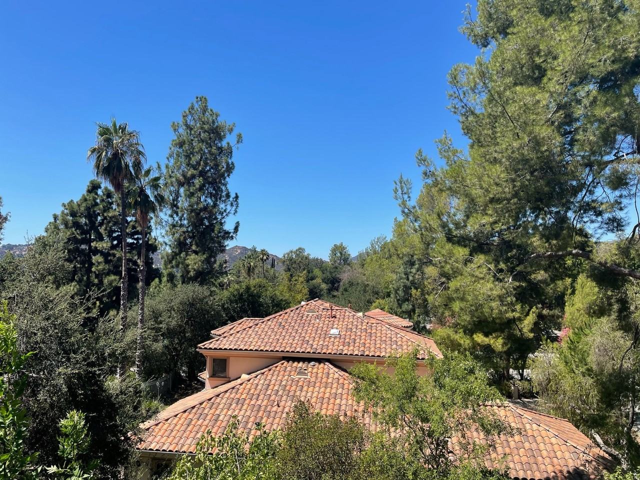 526 Venado Vista Dr - Photo 5 of 12