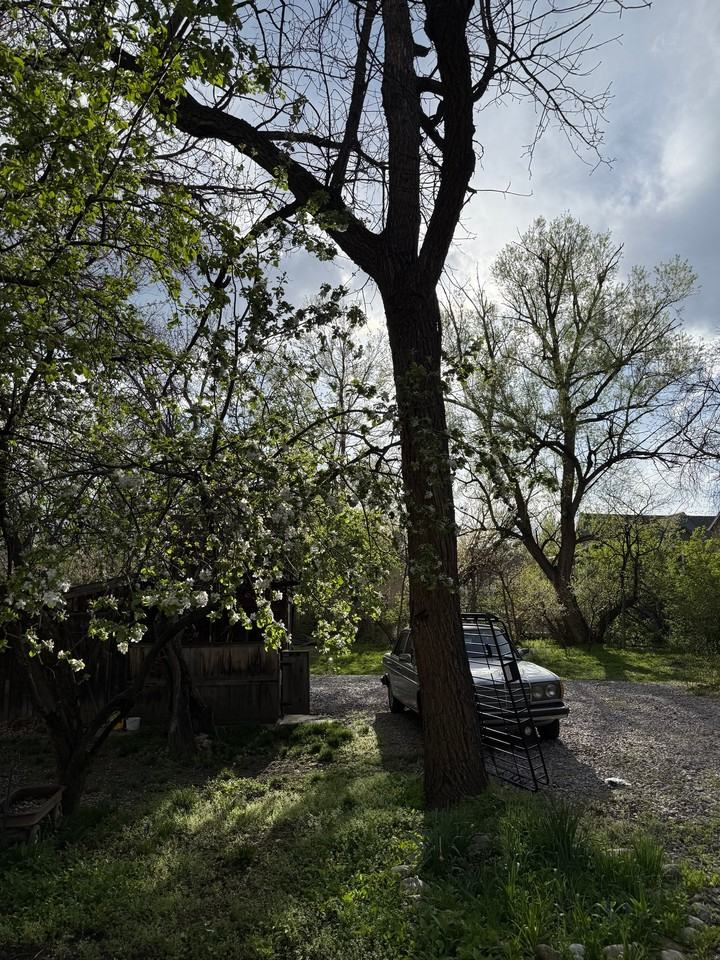 2108 Walnut St - Photo 7 of 7