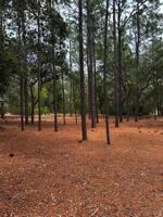 featured image of 5553 Sw 181st Ct