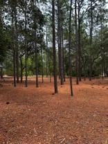 5553 Sw 181st Ct - Photo 1 of 1