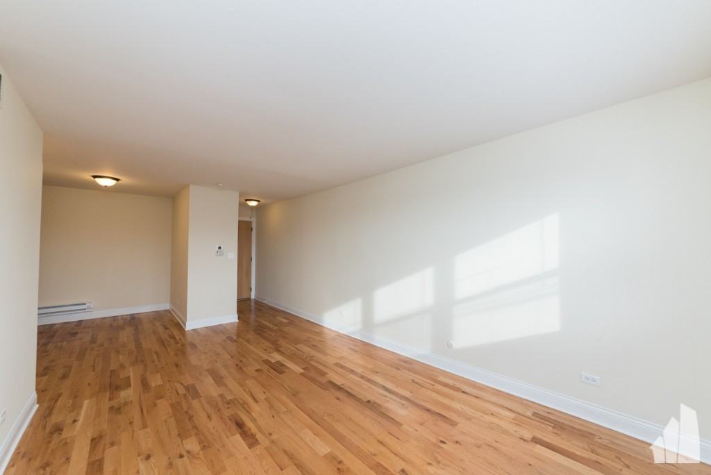 555 W Arlington Pl #308 - Photo 3 of 9