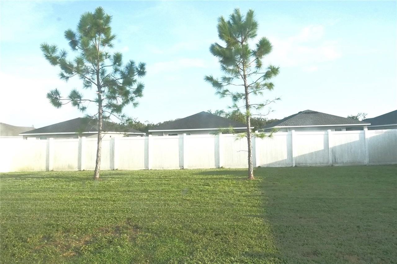 35562 Burma Reed Dr - Photo 7 of 8