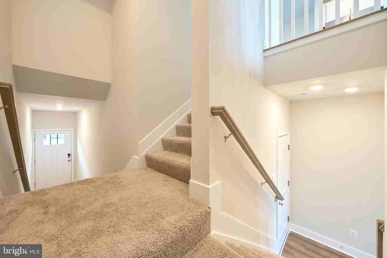 11323 Hypatia Loop - Photo 2 of 50