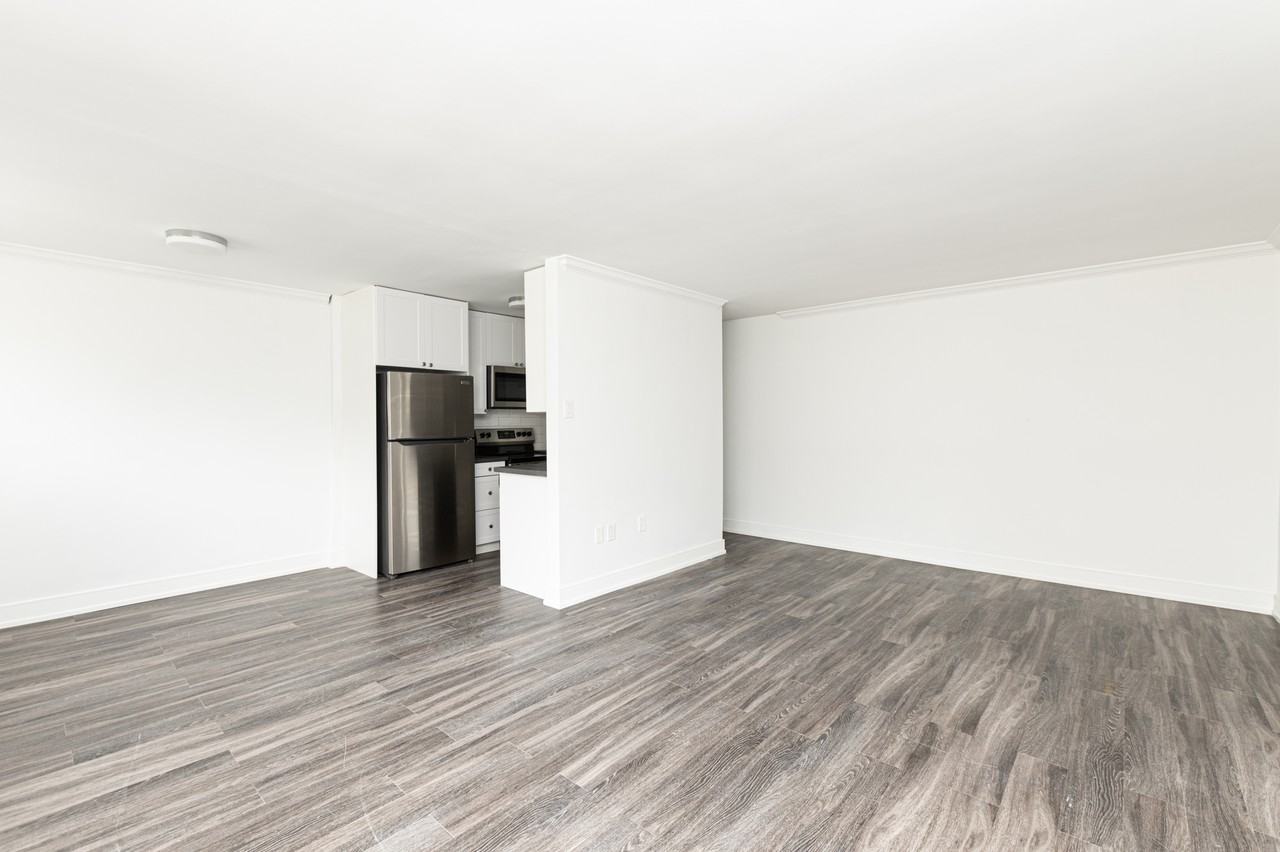 Mornington Place - Photo 4 of 11