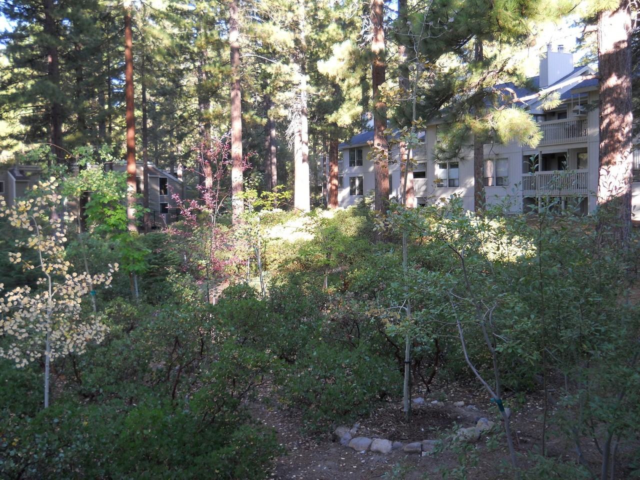 171 Village Blvd #10 - Photo 3 of 14