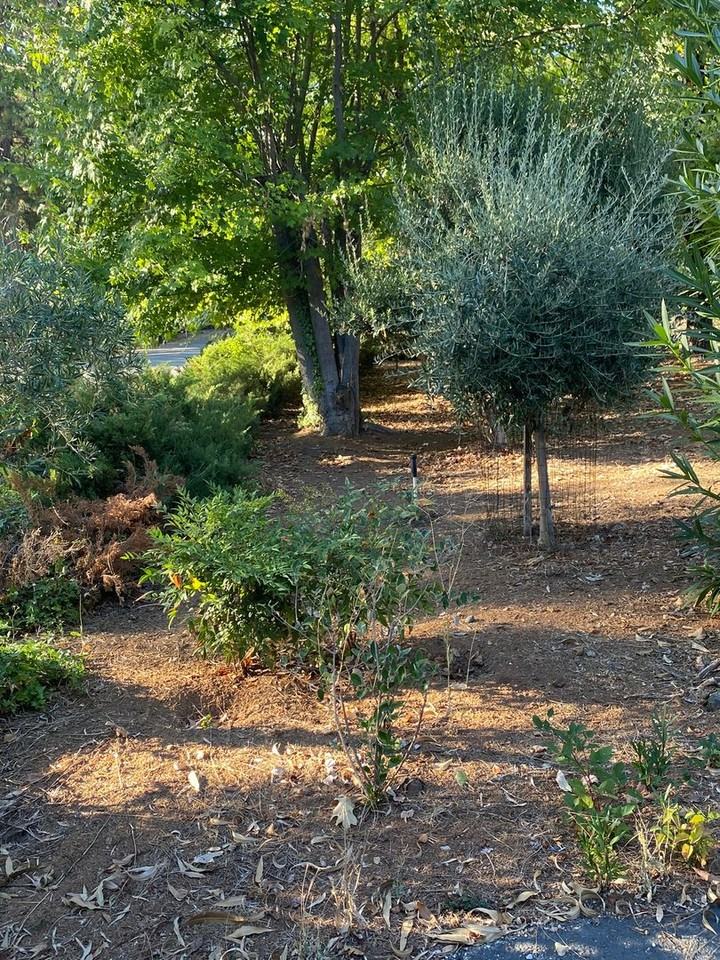 15592 Lorie Dr - Photo 4 of 31