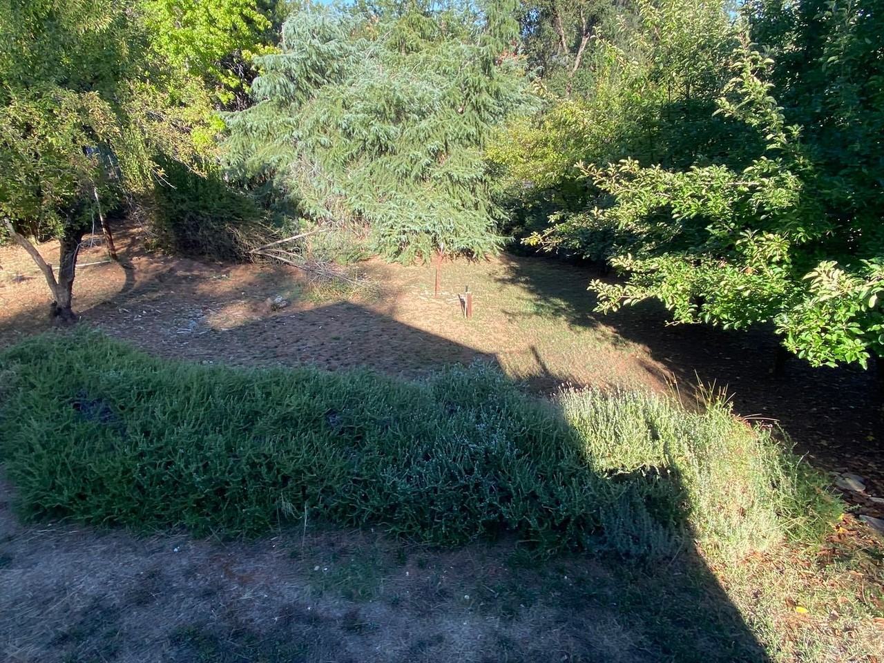 15592 Lorie Dr - Photo 7 of 31