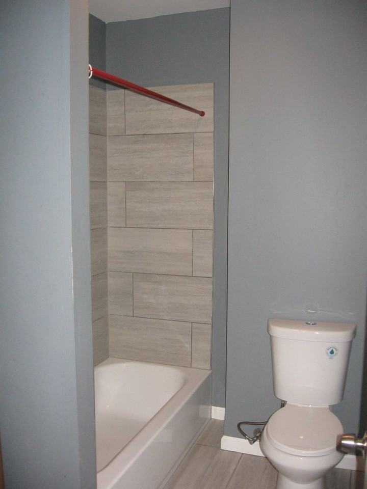 1506 W Ruscomb St - Photo 5 of 8