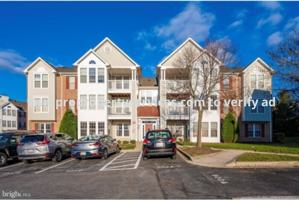 featured image of 902 Blue Leaf Ct #M