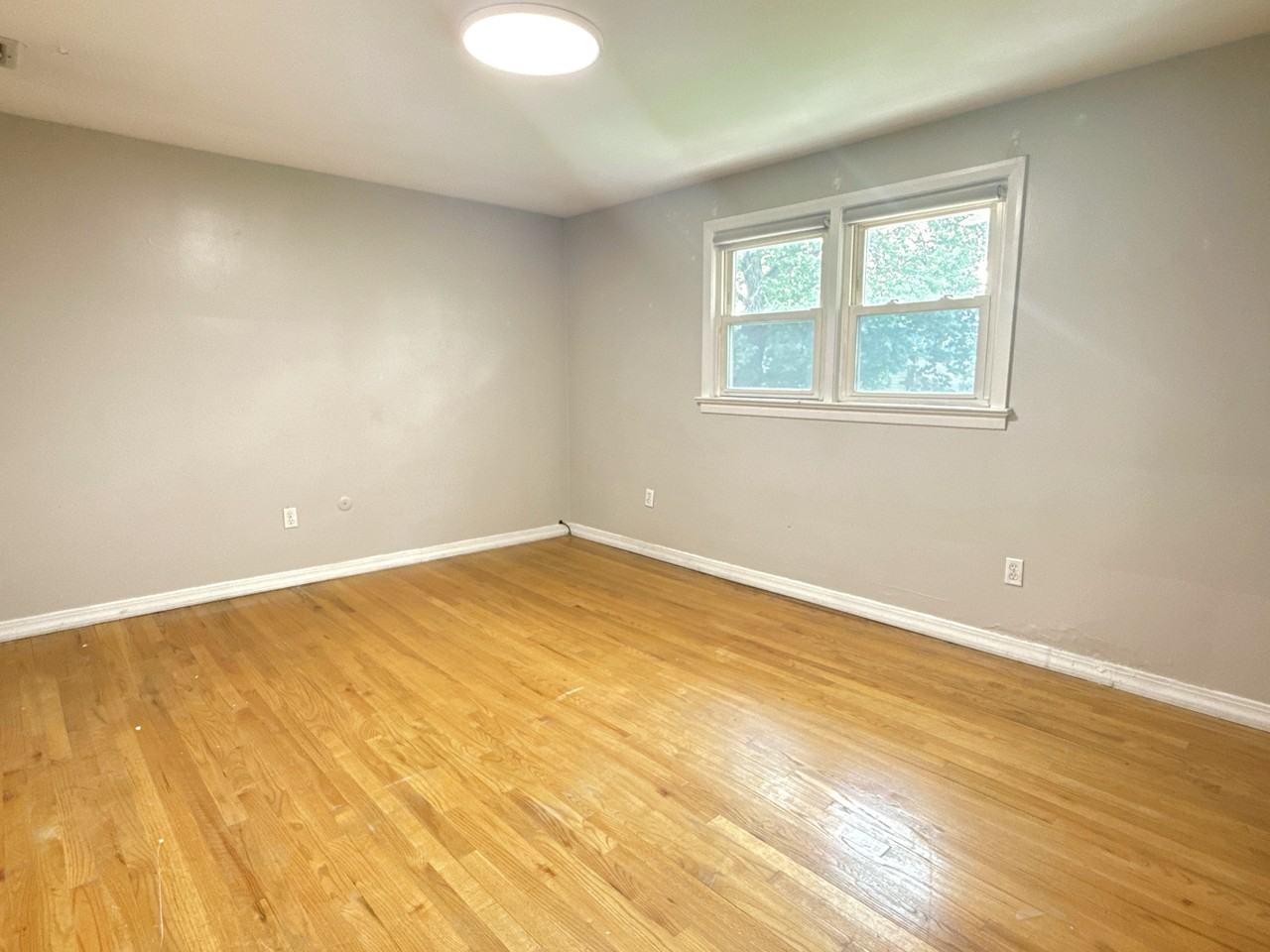 49 Maiden Lane #1 - Photo 7 of 11