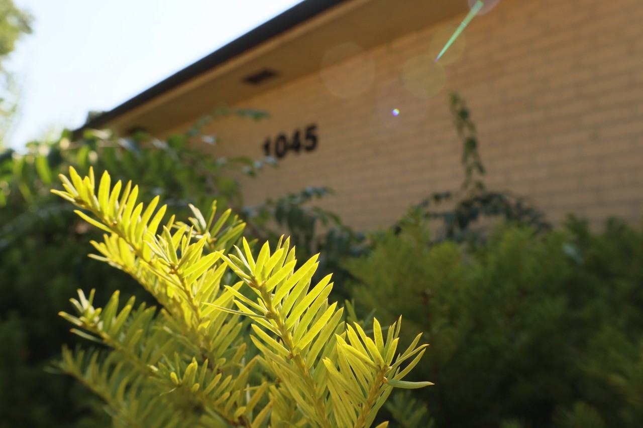 1045 S Lexington Ave #A - Photo 2 of 14