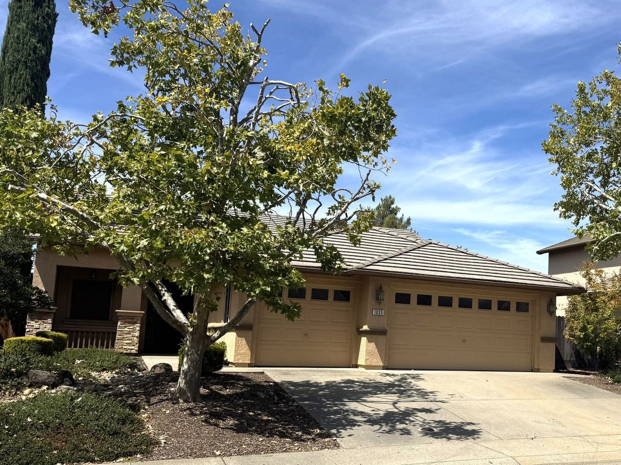 1033 Halidon Way