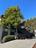 5900 SW Admiral Way - Photo 1 of 1