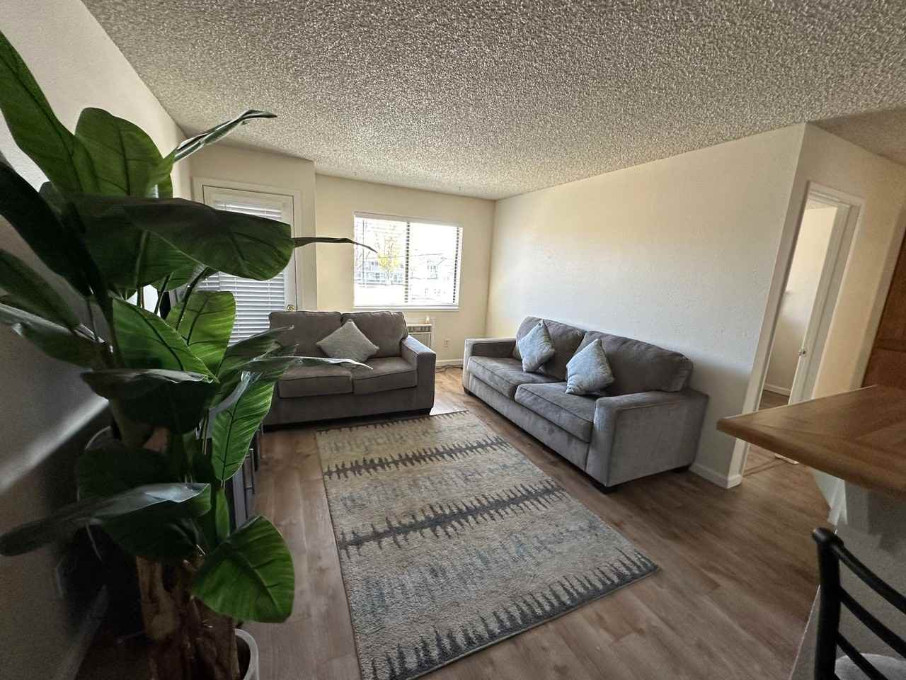 426 Nash St. - Photo 2 of 16