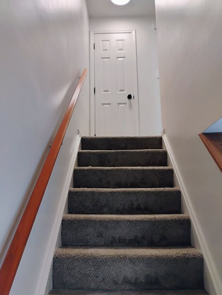 291 Pembroke St #5 - Photo 5 of 11