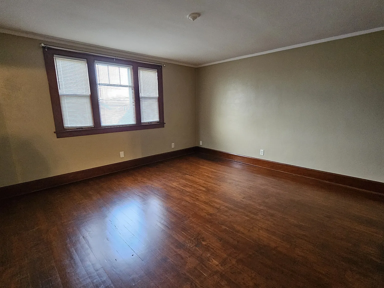 1213 Augusta St - Photo 2 of 13