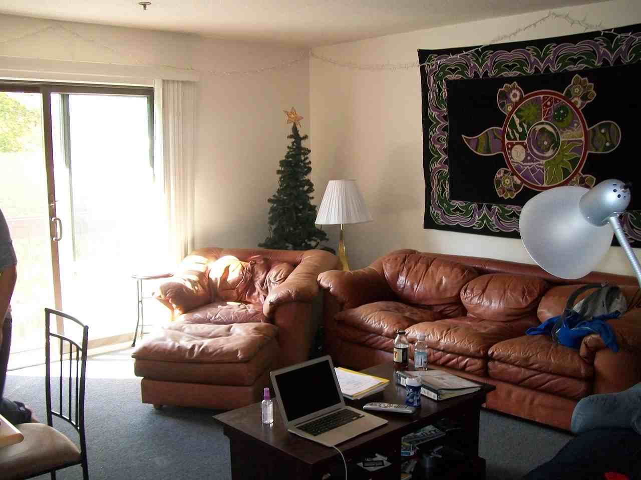 349 Pearl St #226 - Photo 4 of 8