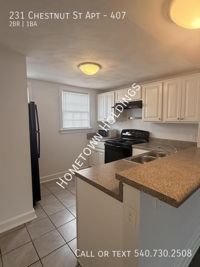 231 Chestnut St #407 - Photo 2 of 15