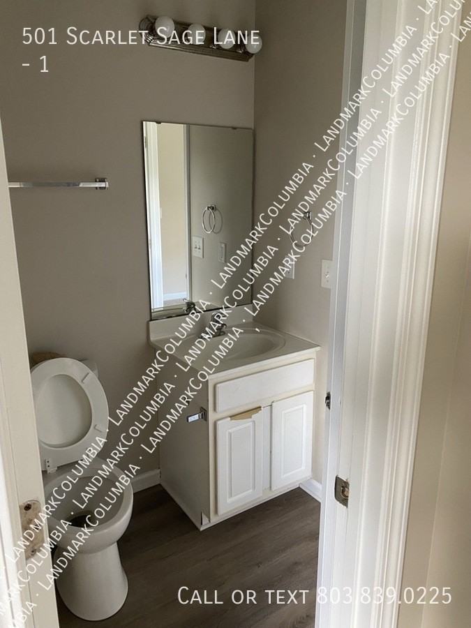 501 Scarlet Sage Ln - Photo 5 of 18