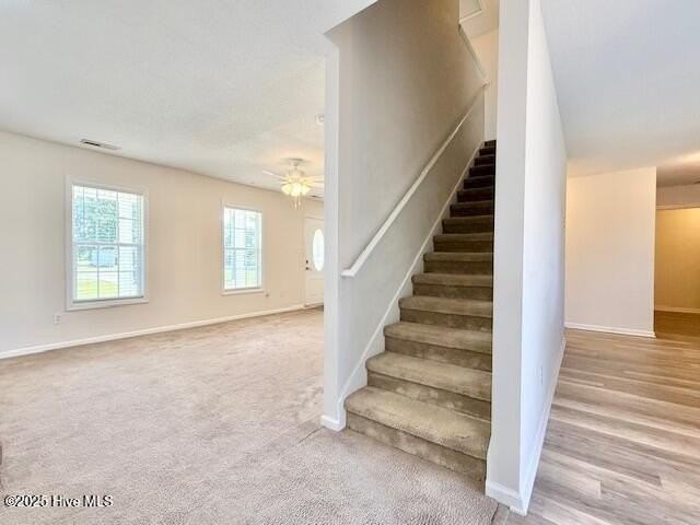 1120 Ben Williams Rd - Photo 5 of 31