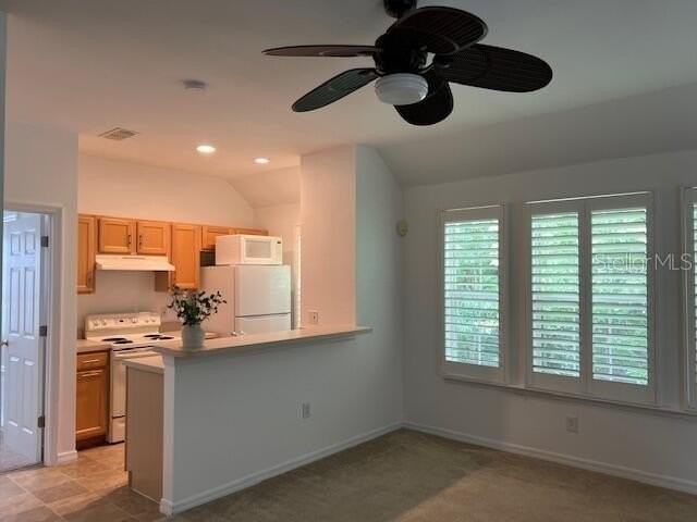 947 Spring Park Loop #B - Photo 7 of 10