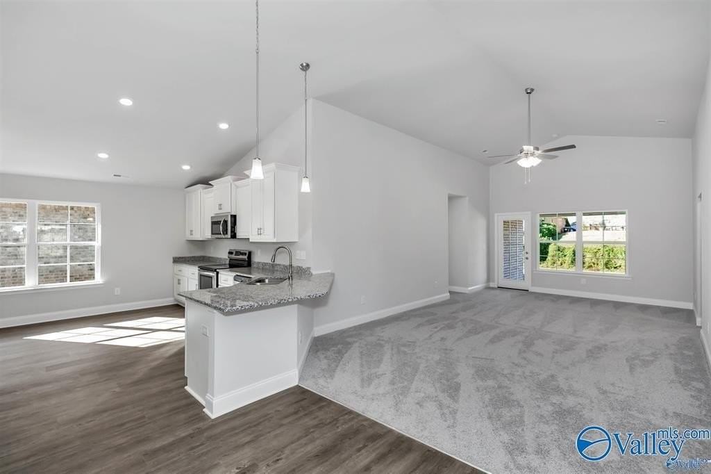 219 Alonzo Toney Dr - Photo 4 of 25