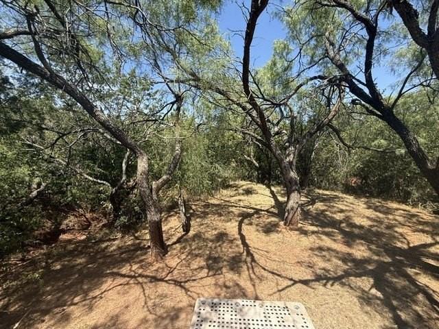 126 Lonesome Dove - Photo 2 of 18