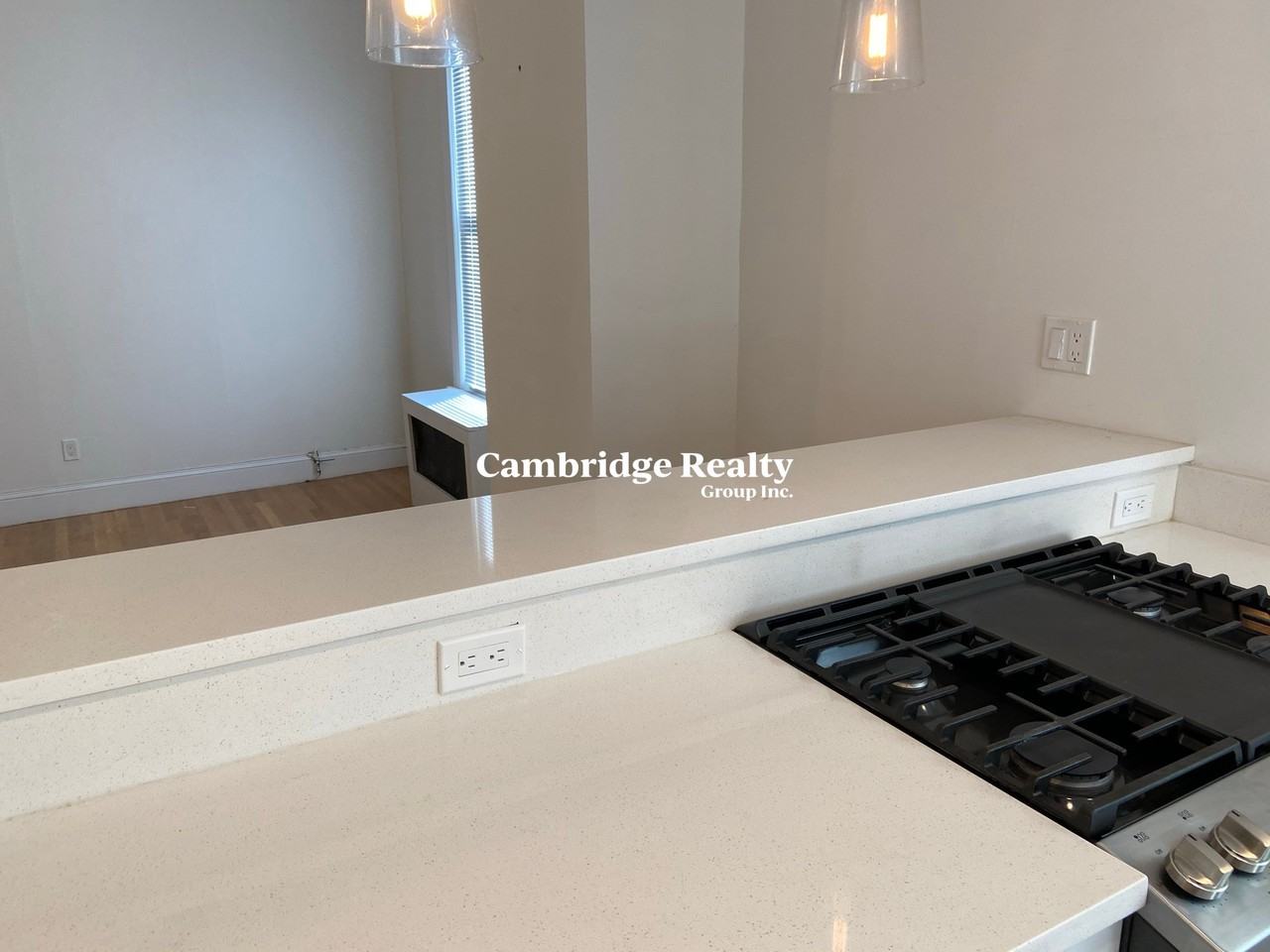38 Newton St #2R - Photo 5 of 27