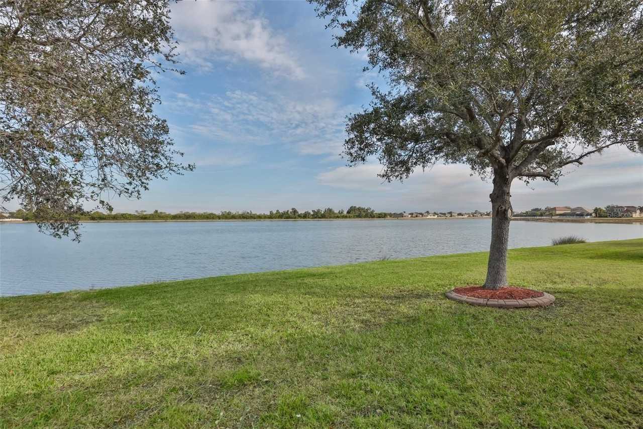 823 Seminole Sky Dr - Photo 5 of 50
