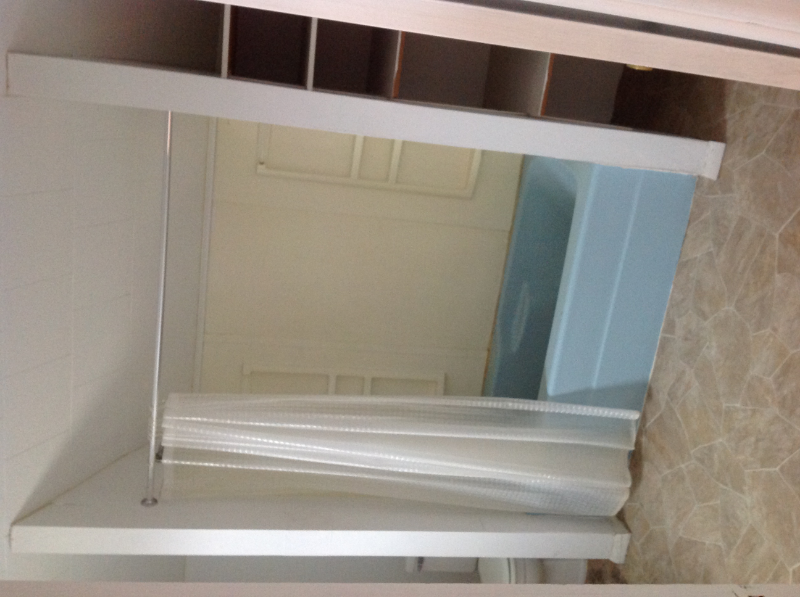 108 E Montcalm St #3 - Photo 5 of 8