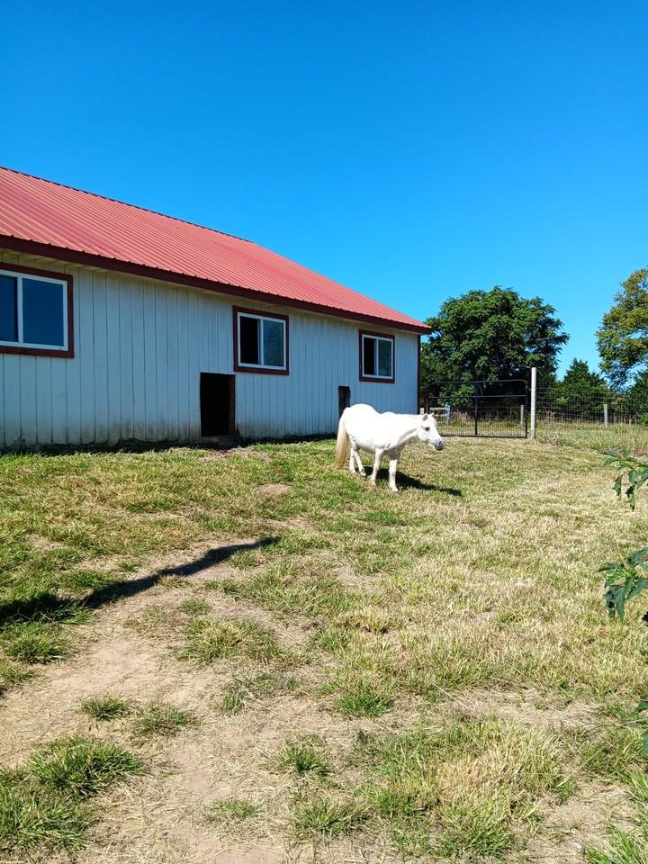 8293 Leetown Rd #BARN - Photo 5 of 6
