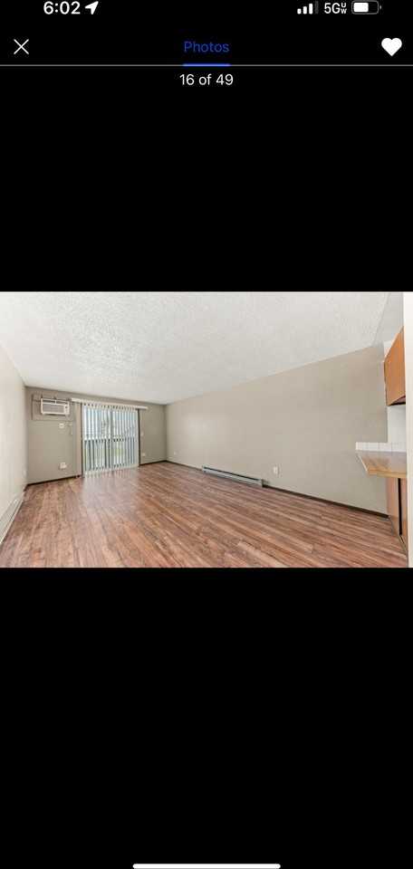2310 E 1st Ave #3 - Photo 6 of 8