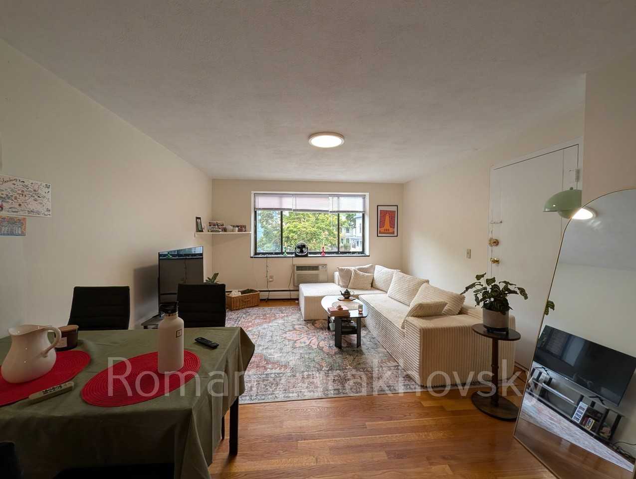 232 Babcock St #3 - Photo 3 of 28