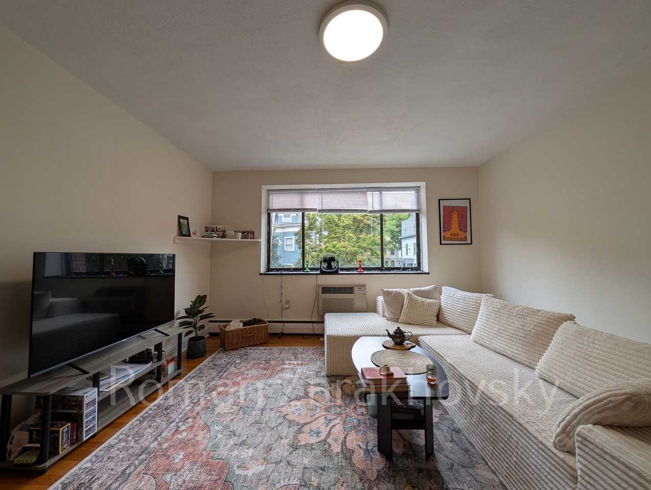 232 Babcock St #3 - Photo 4 of 28