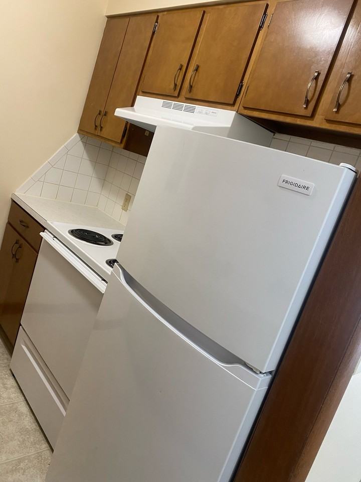 1257 E Elm St #303 - Photo 6 of 10