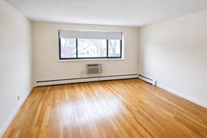 featured image of 66 Homer Ave #401