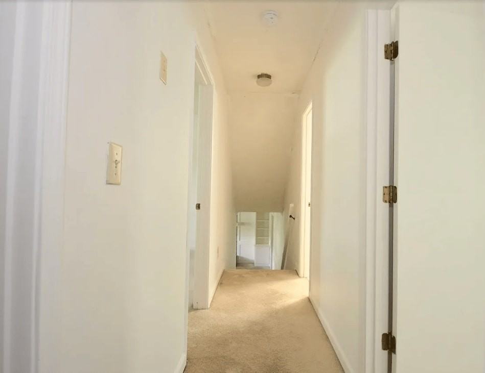 1495 Haynes Ct #1 - Photo 5 of 18