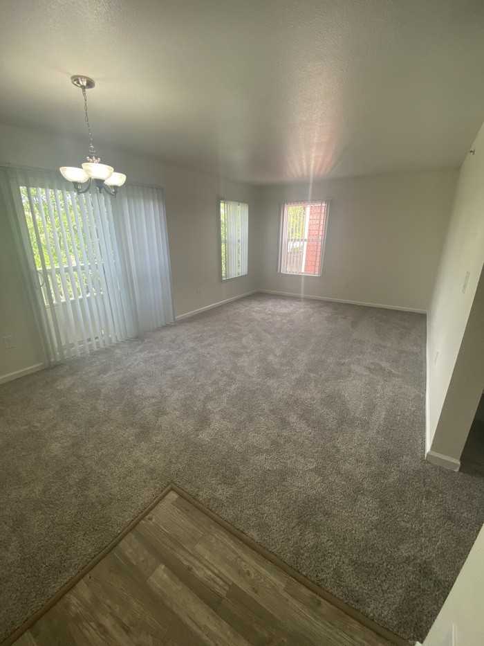 10754 Belle Creek Blvd #309 - Photo 4 of 23