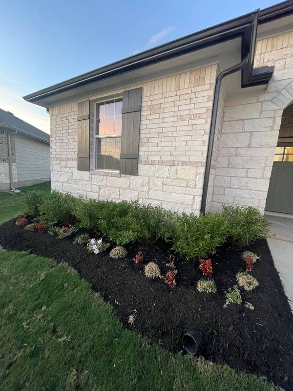 164 Alamo Vine Ct - Photo 6 of 29