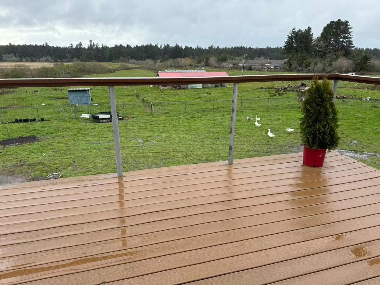 3800 Kings Valley Rd - Photo 2 of 8