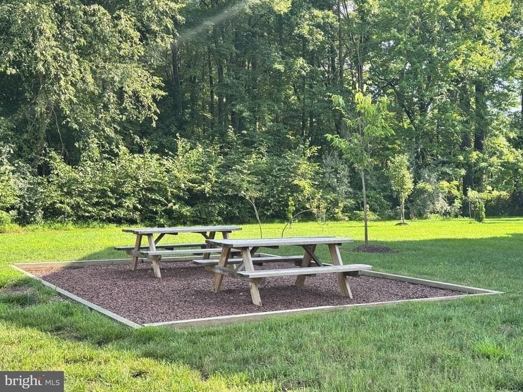 812 Canary Island Ct - Photo 6 of 31